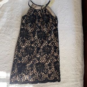 Stunning JADE Black Lace Cocktail Dress